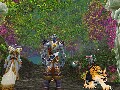 Night-Elves-and-Mount.jpg