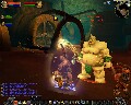divineshield.jpg