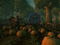 pumpkin-patch.jpg