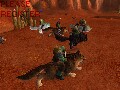 wolf.jpg